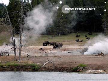 تصاويري زيبا و ديدني از کشور ايالات متحده آمريکا